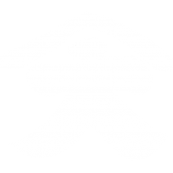 写真家　大野伸一